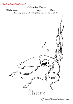 coloring pages sea creatures colouring squid