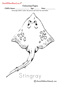 ocean life coloring page colouring stingray