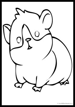Pet Colouring Pages Hamster