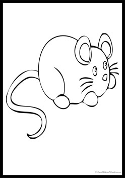 Pet Colouring Pages Rat