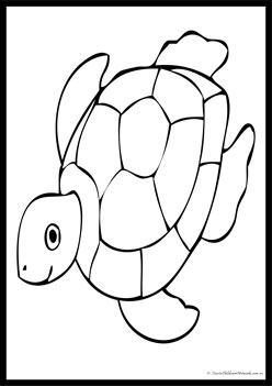 Pet Colouring Pages Tortoise