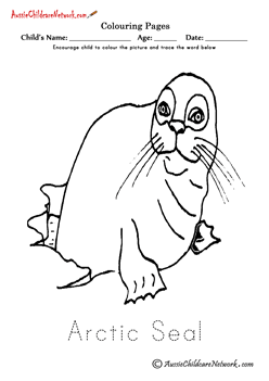 colouring pictures coloring pages of artic seal