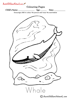 coloring page arctic whale