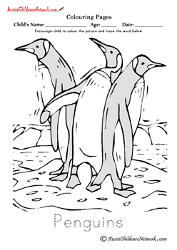 Penguins colouring pages