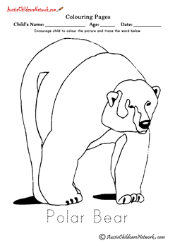 antarctic animals coloring pages Polar Bear