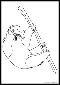 Sloth Colouring Pages 3