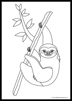 Sloth Colouring Pages 4