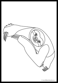 Sloth Colouring Pages 7
