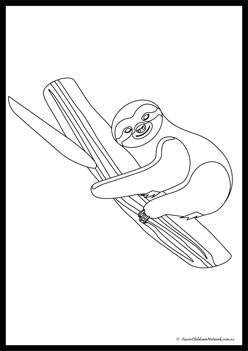 Sloth Colouring Pages 9