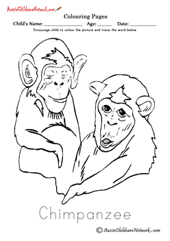 coloring books coloring chimpanzee