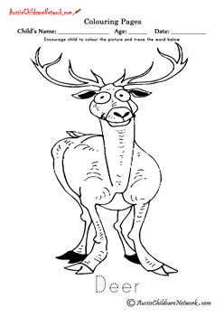 Colouring Deer Cartoon