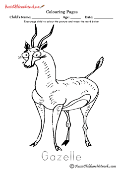 Colouring Gazelle