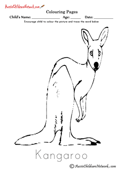 Colouring Kangaroo