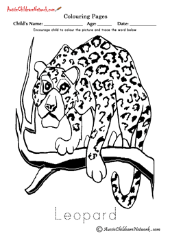 Colouring Leopard