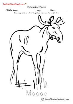 Coloring Moose