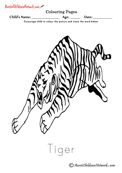 Colouring Pages Tiger