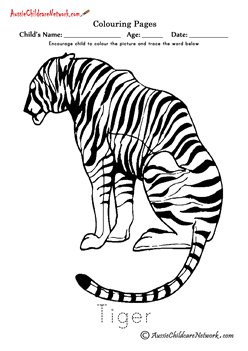 Colouring Sheets Tiger