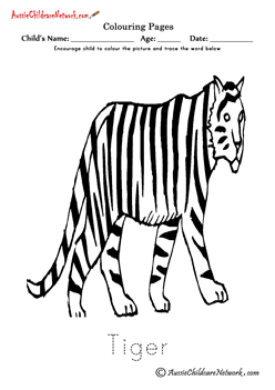 Coloring Tiger