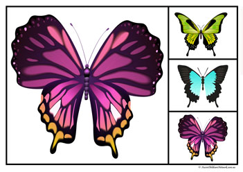 Butterfly Matching Clipcards Set1