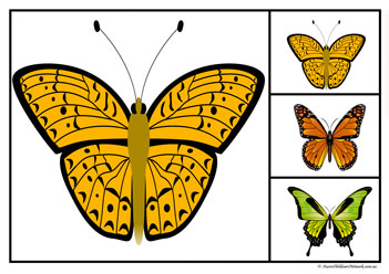 Butterfly Matching Clipcards Set3