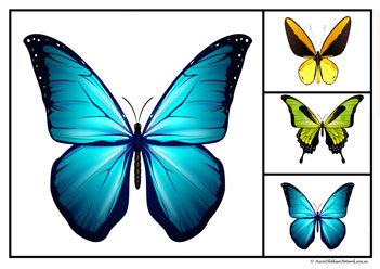 Butterfly Matching Clipcards Set6