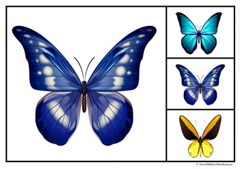 Butterfly Matching Clipcards Set7