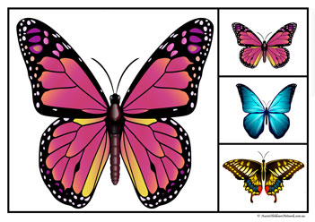 Butterfly Matching Clipcards Set8