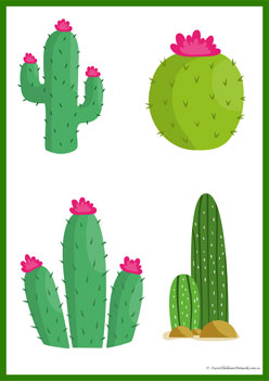 Cactus Shadow Match 11, visual skills worksheets