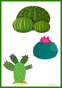 Cactus Shadow Match 13, shadow matching printables