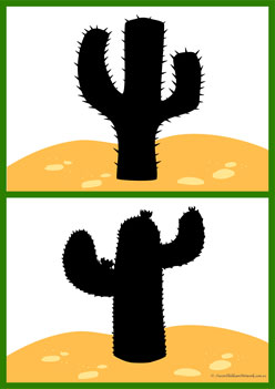 Cactus Shadow Match 6, shadow matching games for children