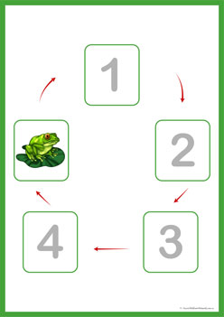 Lifecycle Frog Cut And Paste 5, frog lifecycle cards