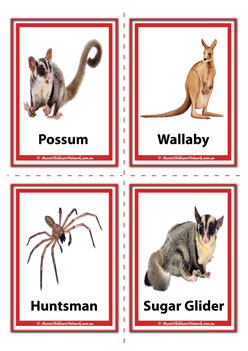Brolga, Emu, Galah, Goanna australian animal flashcards