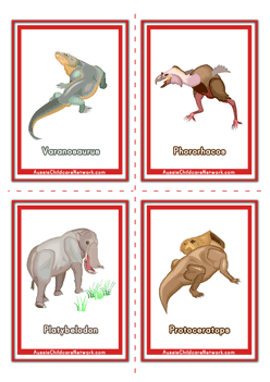 Stegosaurus Flashcards