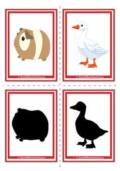 Afarm animal shadow flashcards guinea pig goose preschool children memory game
