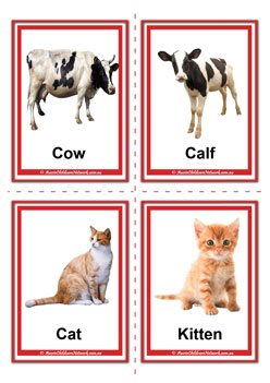 farm animal adult and baby cow calf cat kitten flashcards for learning children