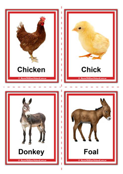 farm animal adult and baby chicken chick donkey foal flashcards for learning children