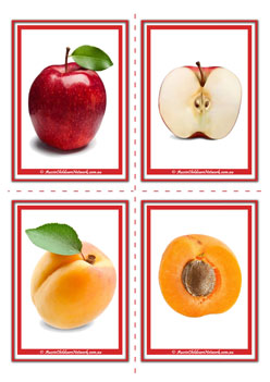 Apple Apricot Inside Fruit Flashcards For Children