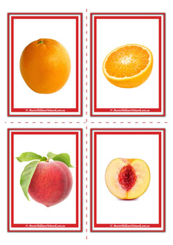 Orange Peach Inside Fruit Flashcards For Children