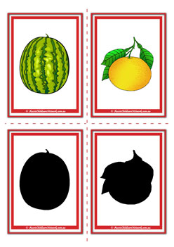Fruit Shadow Watermelon Grapefruit Match Flashcards