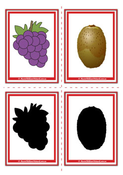 Fruit Shadow Grapes Kiwi Match Flashcards