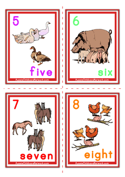 numbers flashcards