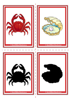 Ocean Shadow Flashcards Set11