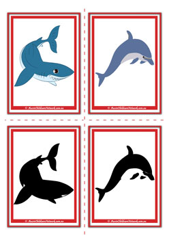Ocean Shadow Flashcards Set3