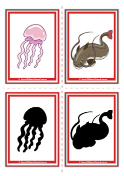 Ocean Shadow Flashcards Set8