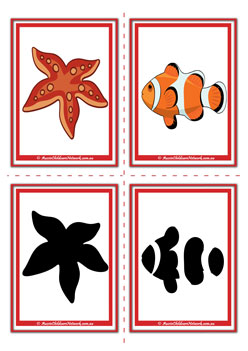 Ocean Shadow Flashcards Set9