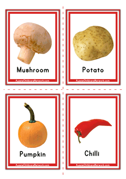 Vegetables Flashcards for Babies Toddlers Preschoolers