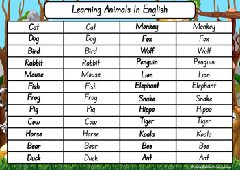 Animals In Different Languages English