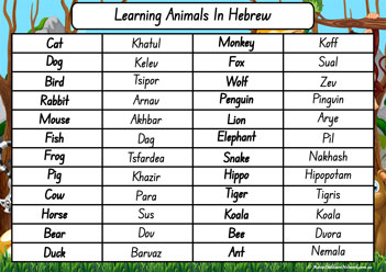 Animals In Different Languages Hebrew