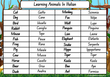 Animals In Different Languages Italian