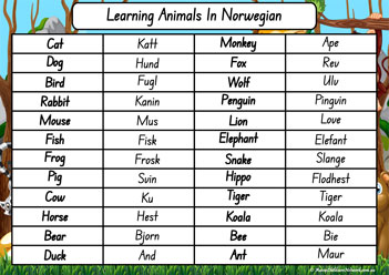 Animals In Different Languages Norwegian